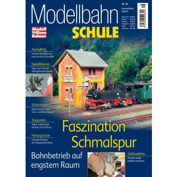 Modellbahn Schule 16 - Faszination Schmalspur - digital