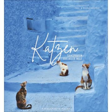 Katzen - Samtpfoten aus aller Welt *