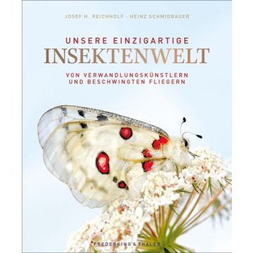 Unsere einzigartige Insektenwelt