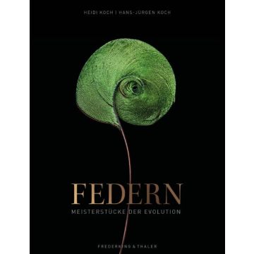 Federn