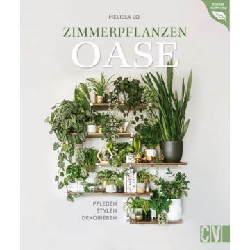 Zimmerpflanzen Oase