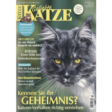 Geliebte Katze 2022/07 - digital